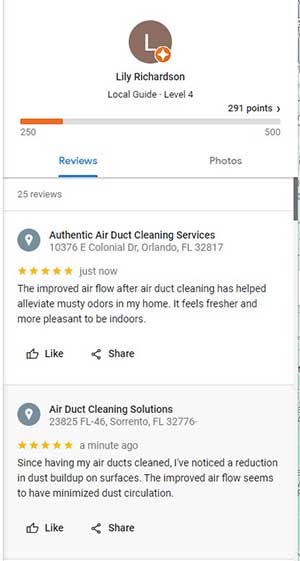 fake reviews published in minutes to dozens of companies